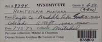Image Associated With the Occurence